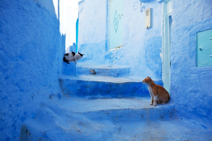 "O azul turquesa das casa nesta província de Marrocos torna-a num cenário cinematográfico."