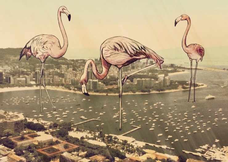 fotografias-ilustracoes-cidade-maravilhosa-rio-de-janeiro-continua-lindo-flamingos-1024x730